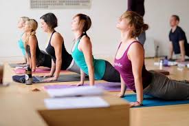  DIPLOMA IN YOGA TEACHER EDUCATION